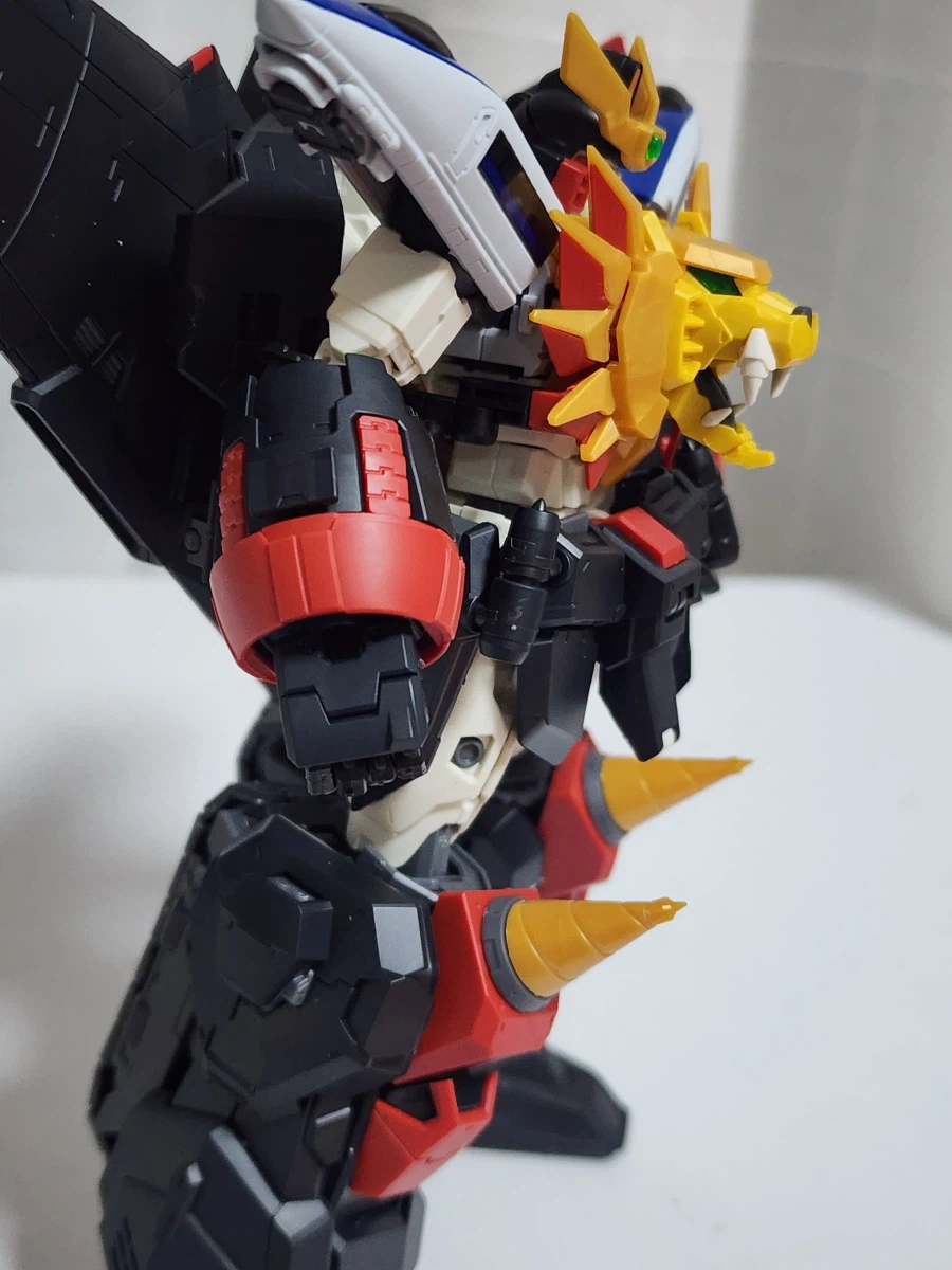 Rg) 가오가이가_4.webp