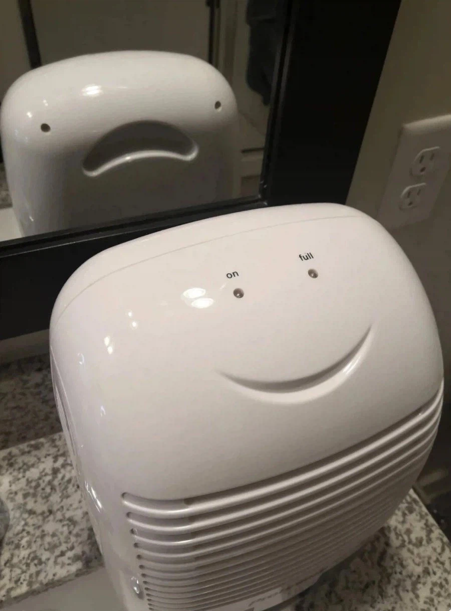 "쮸인님!!! 그 녀석은 가짜에요!! 속으시면 안돼요!!"_1.webp