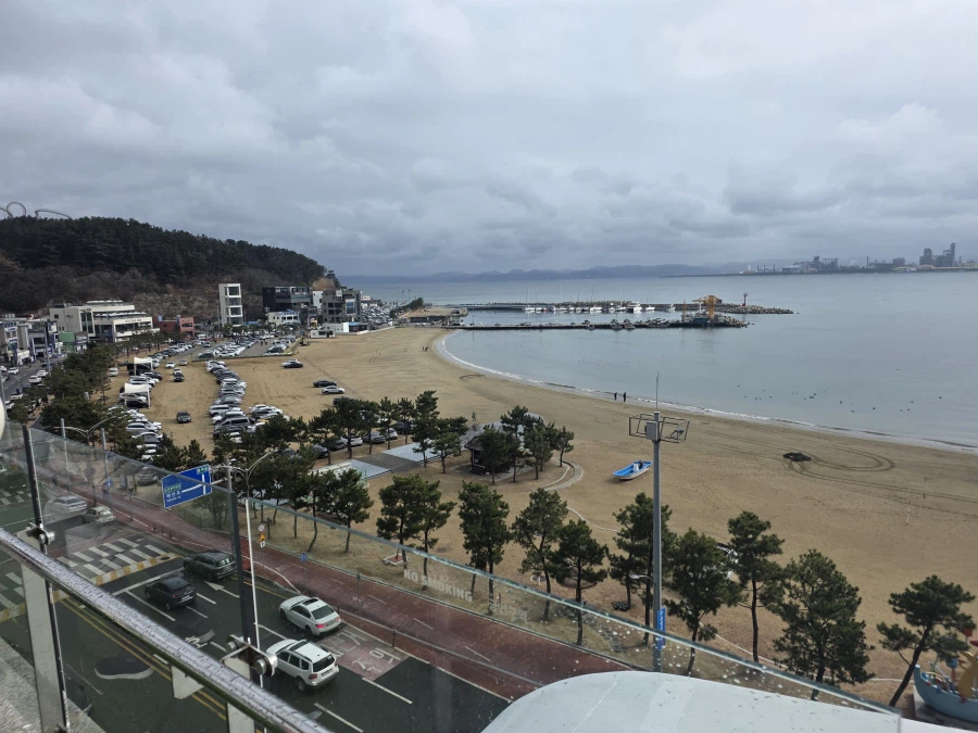 포항 물회_29.webp