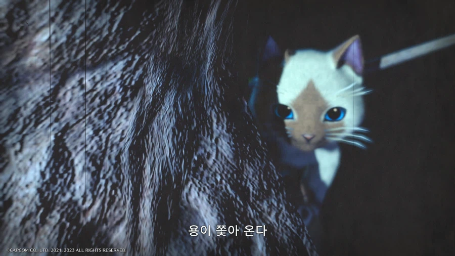 파란 주인 클리어했습니다_37.webp