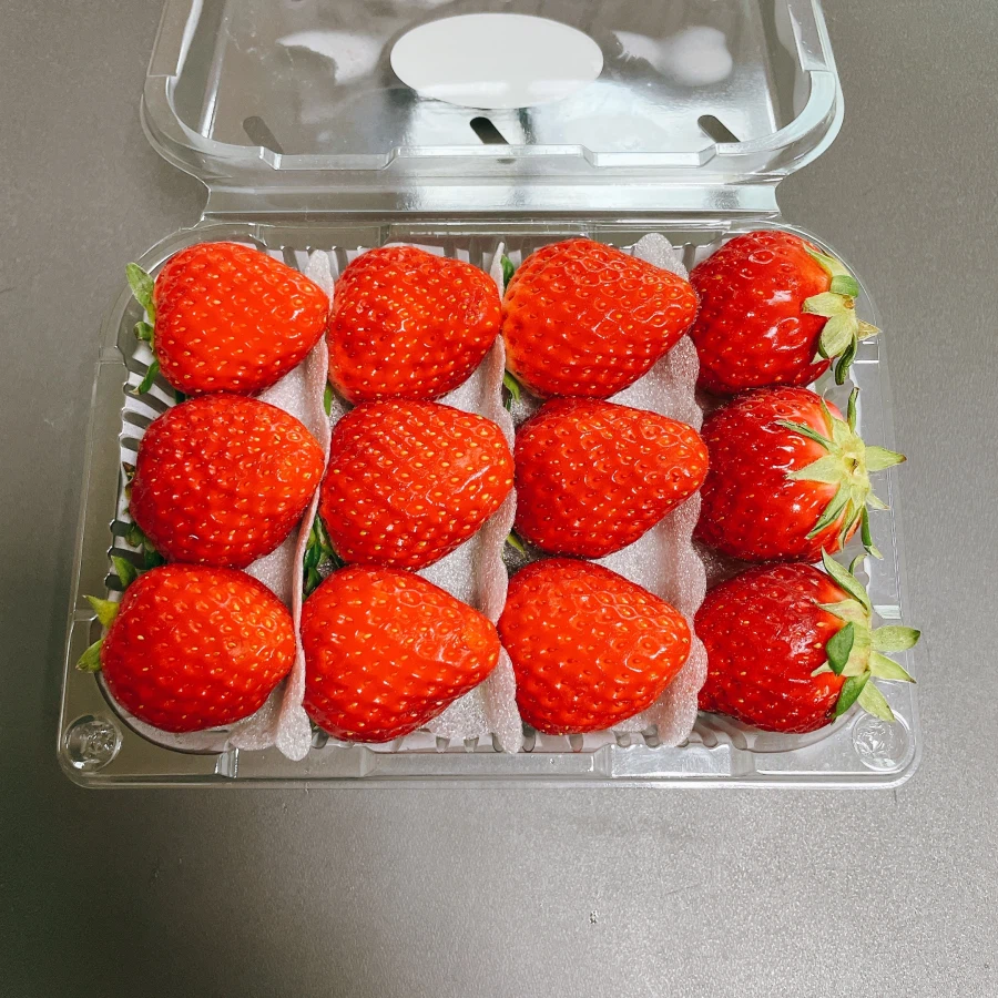 돼억시니) 설 맞이 전과 딸기_5.webp