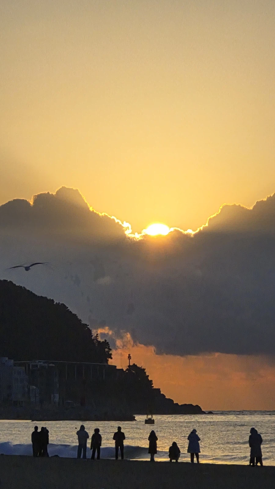 새해 일출_2.webp