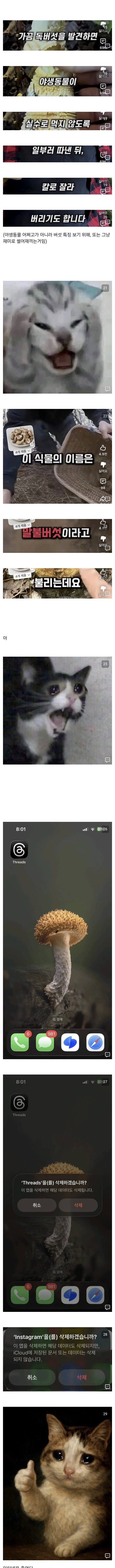 버섯갤 갤주가 본 인터넷_2.webp