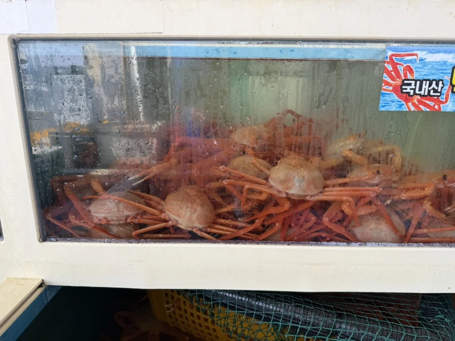 2026 대게 시즌 종료 + 새해 해산물들_8.webp