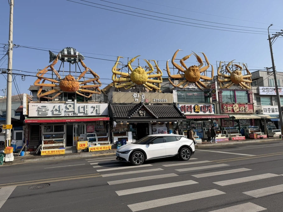 2026 대게 시즌 종료 + 새해 해산물들_14.webp