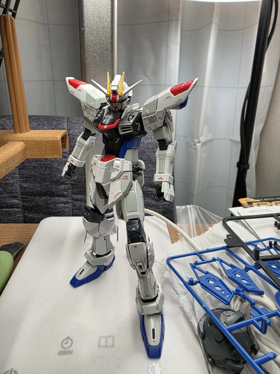 등짝이 얌전한 GCP 프리덤_4.webp