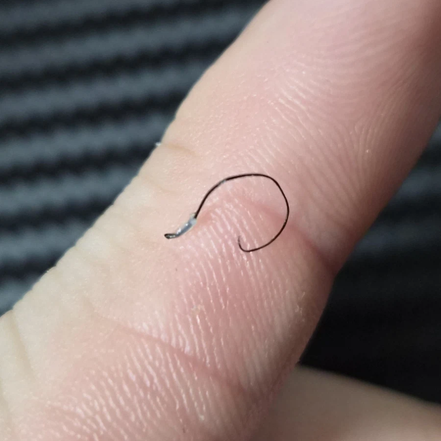 ㅅㅂ 드디어 뽑았다!!!_1.webp