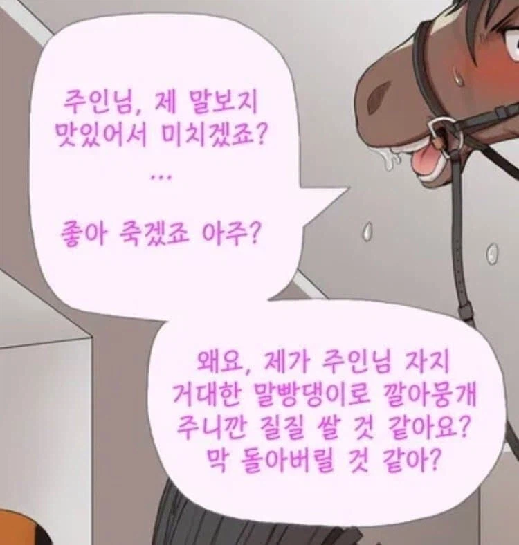 가족같은 관계가 아름다운 이유_11.webp