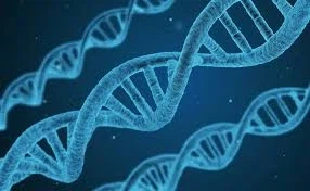 진화론 vs 창조설이 허수아비 때리기인 이유_9.webp