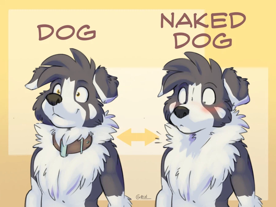 퍼리짤 조금 더_2.webp