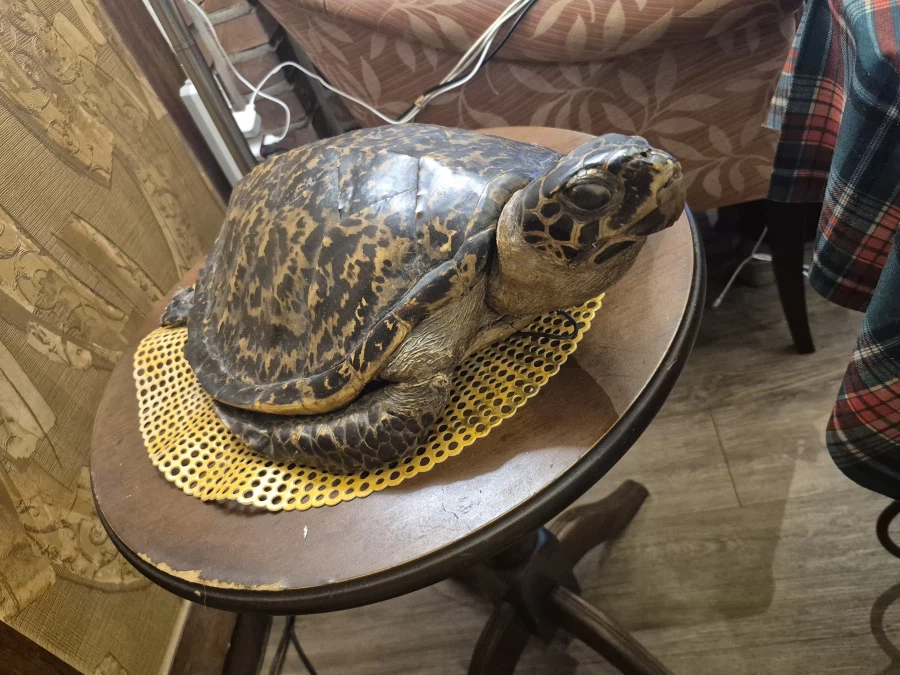 설날 연휴에 먹은것들_4.webp