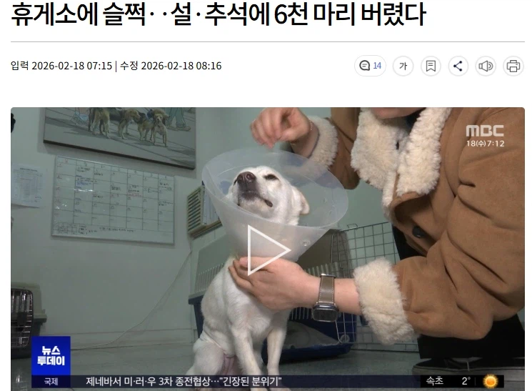 휴게소에 슬쩍‥설·추석에 6천 마리 버렸다_1.webp