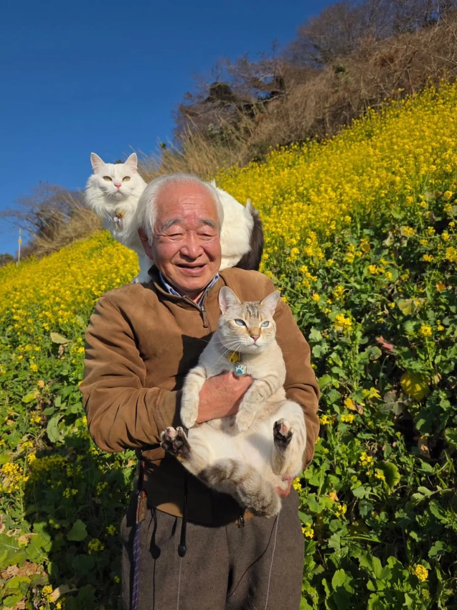 할부지와 고앵이들_2.webp