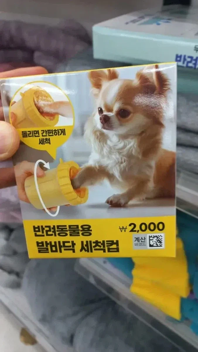 다이소 신상 반려동물용 발 세척컵_1.webp