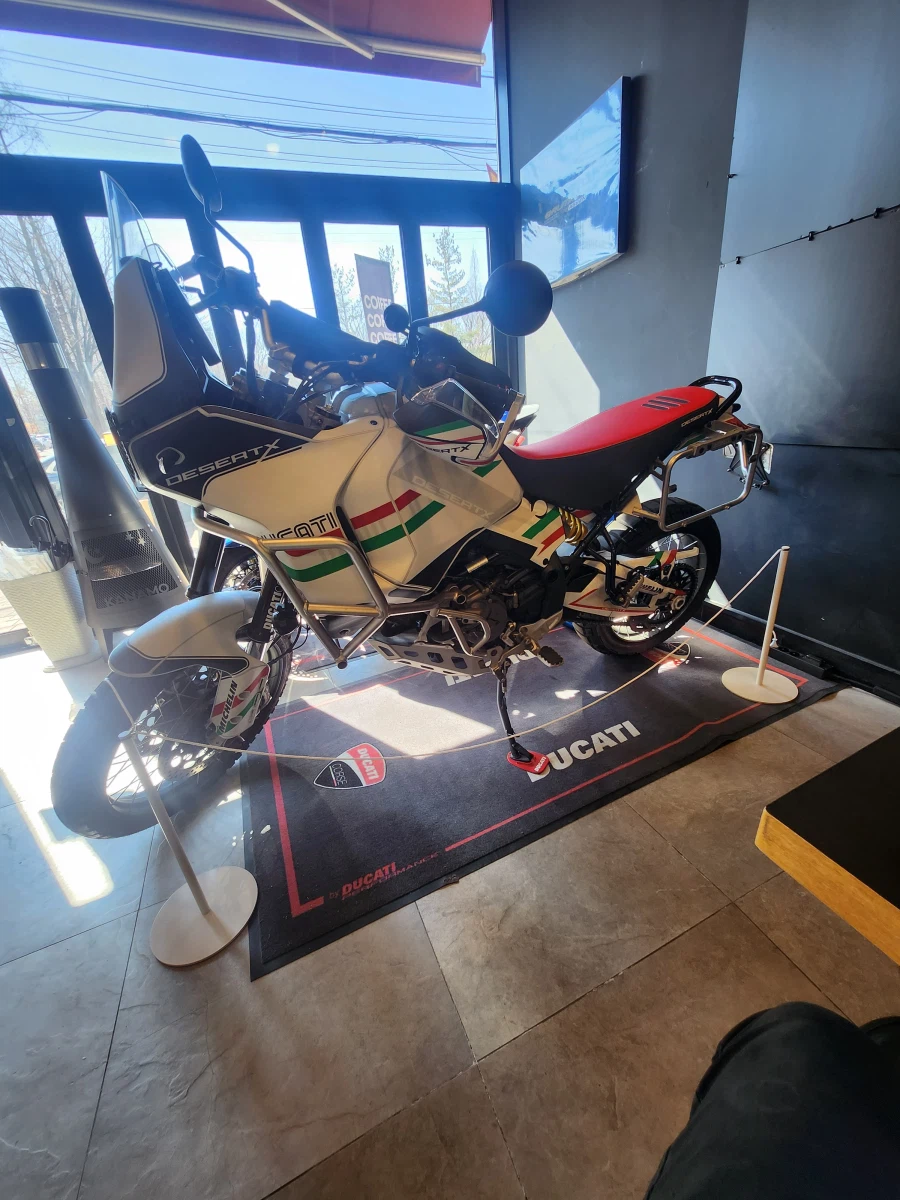 버드 혼술_2.webp