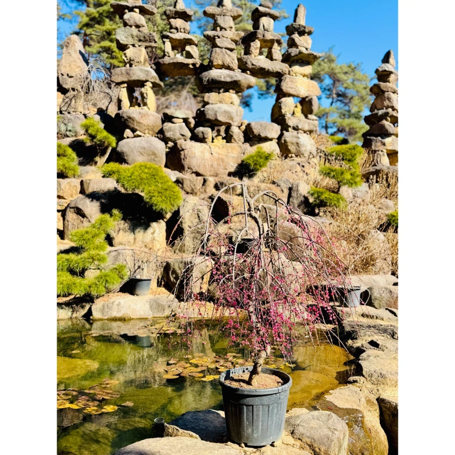 합천 천불천탑_5.webp