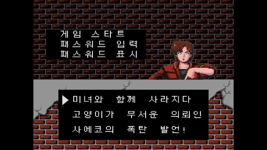 선소프트, 시티헌터 한국어판 스크린샷, 용량, 패키지 이미지_3.webp