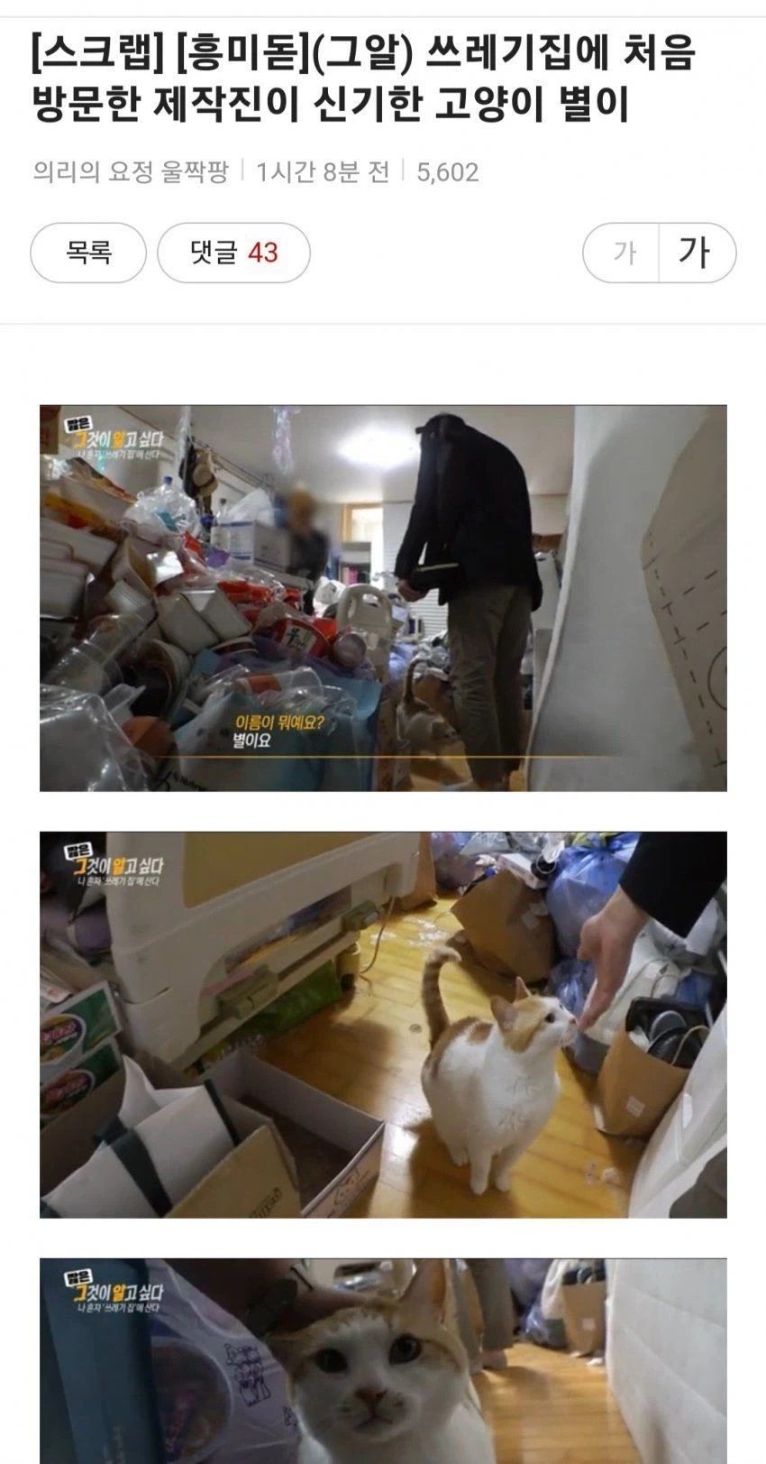 와 이딴데 오는 인간이 있네 하는 고양이_1.webp