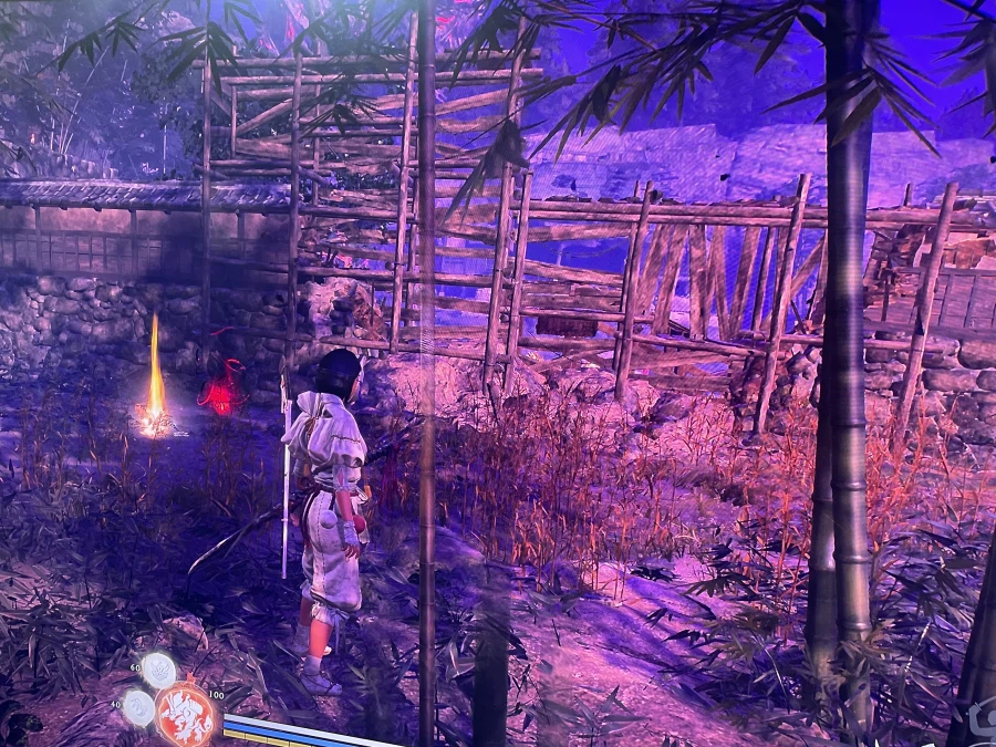 니조성터에서 ㅠㅠ_2.webp