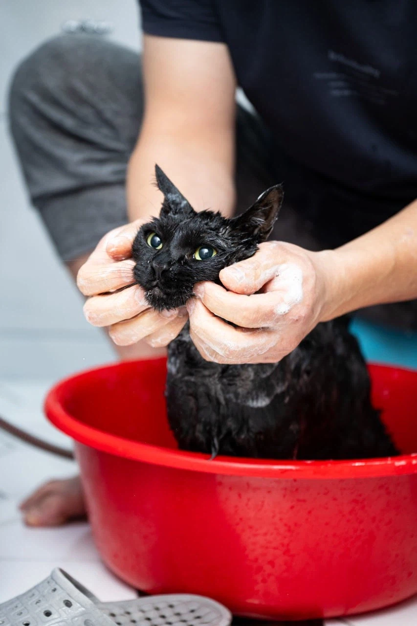 깜냥아 너 인물났다 오늘 어디 나가지 마라!_2.webp