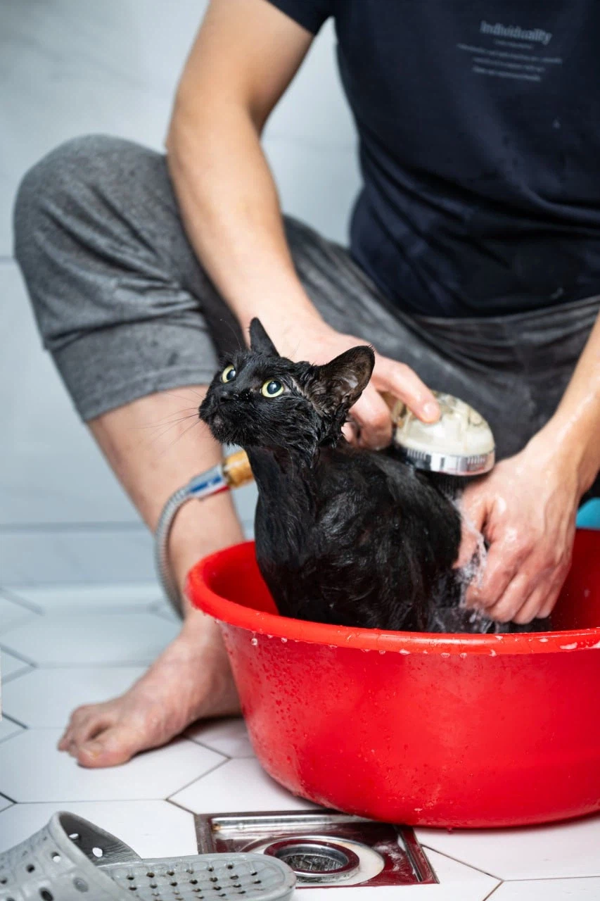 깜냥아 너 인물났다 오늘 어디 나가지 마라!_8.webp