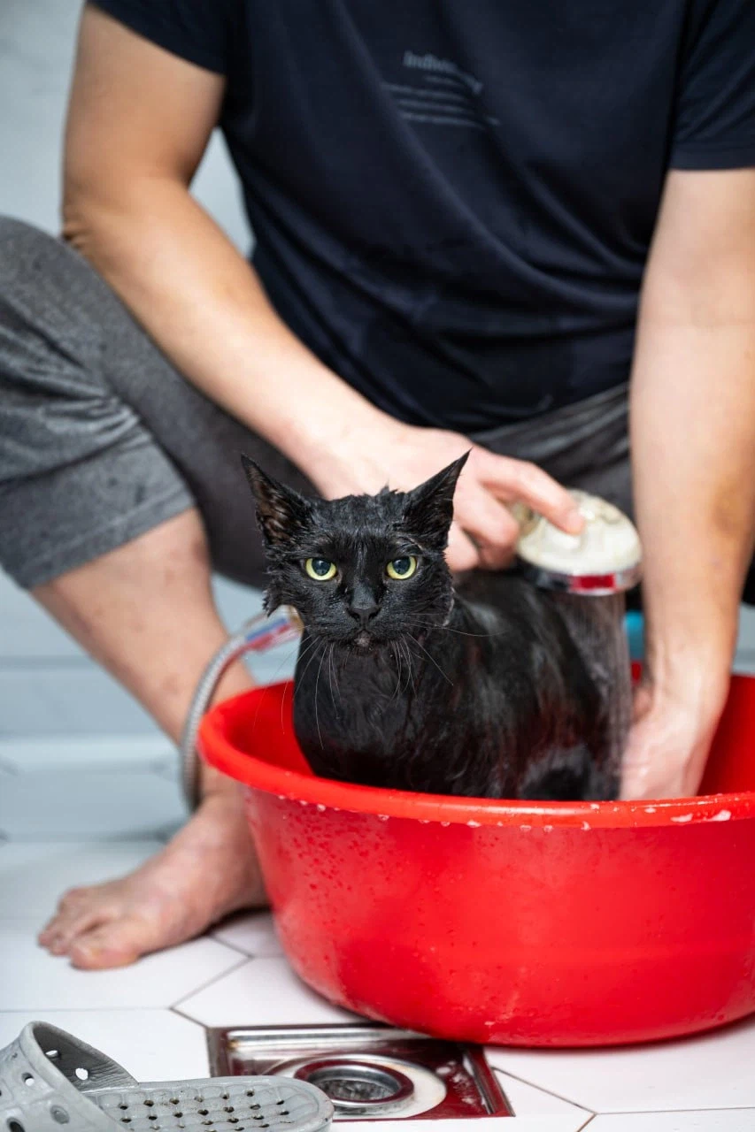 깜냥아 너 인물났다 오늘 어디 나가지 마라!_10.webp