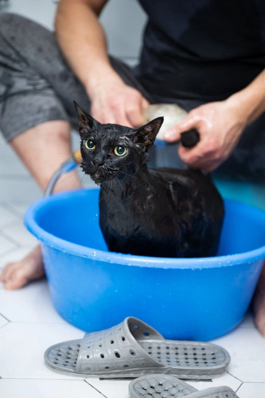 깜냥아 너 인물났다 오늘 어디 나가지 마라!_16.webp