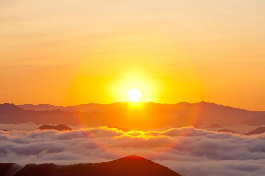 속보) 속보! 누구보다 빠른 소식 특급 속보입니다!_2.webp