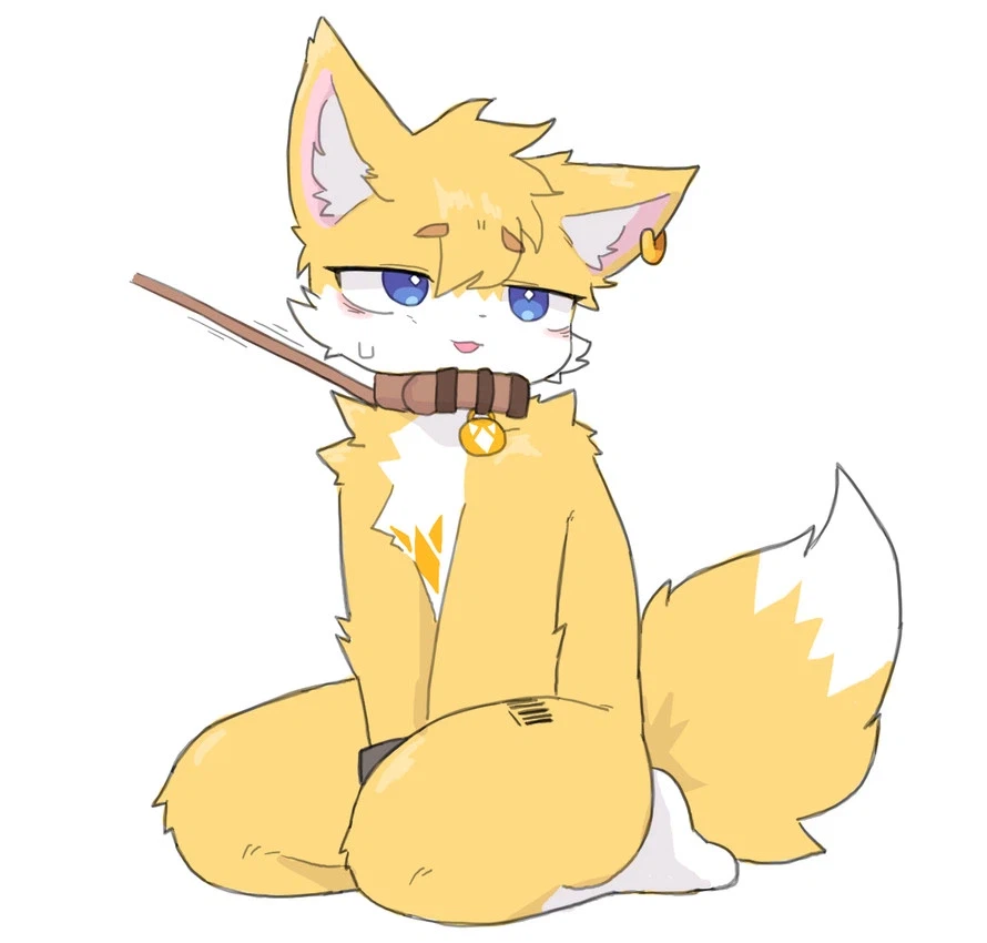 모닝의 보추_2.webp