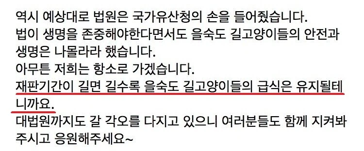 을숙도 패소한 캣맘단체, 항소할 것_3.webp