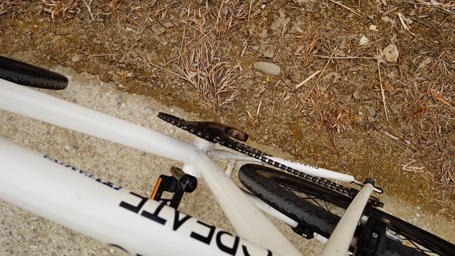 길가다 페달이 다 빠지는군요._1.webp