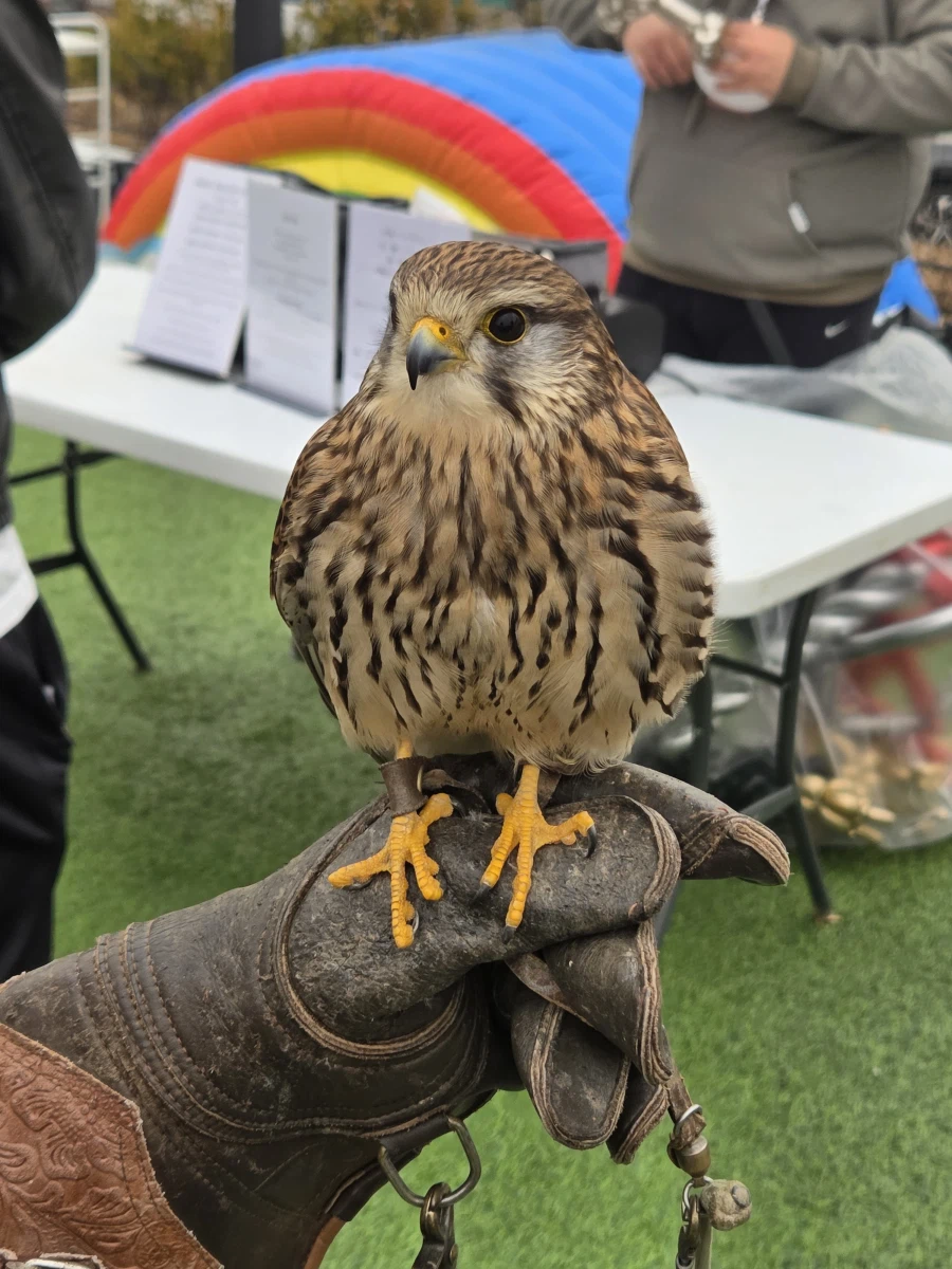 퍼조 2일차_3.webp