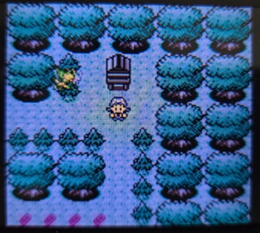 VC 크리스탈, 세레비 포획, 레드, 도감완성_2.webp