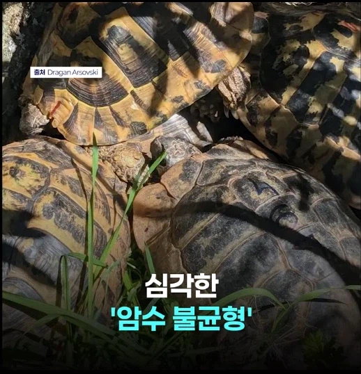 망가 처럼 무인도에 여자 하나 남자 여럿이면 생기는 일_3.webp