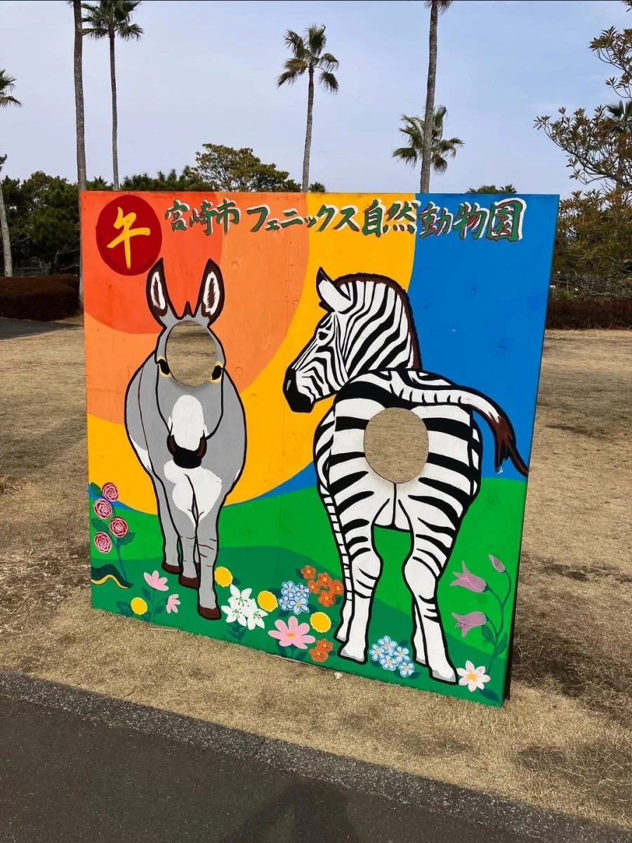 얼룩말 애널_1.webp