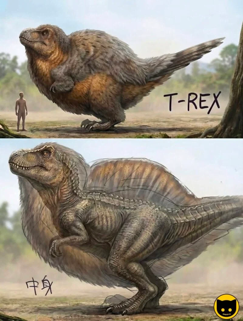 공룡덕후들이 커뮤니티 공룡 얘기에 종종 빡도는 이유_1.webp