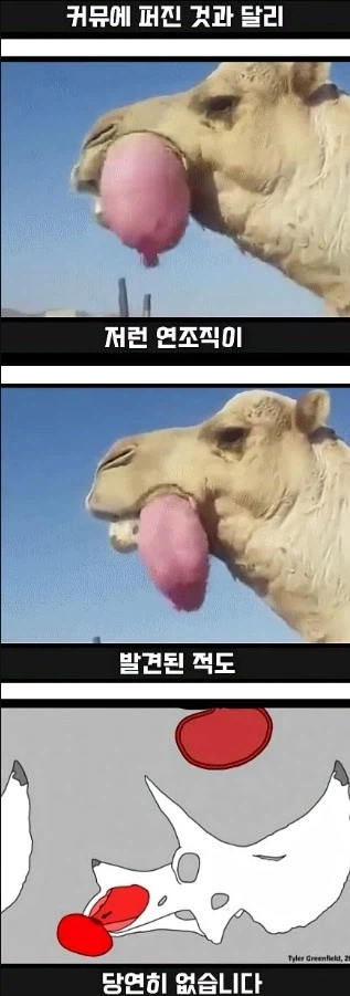 공룡덕후들이 커뮤니티 공룡 얘기에 종종 빡도는 이유_8.webp