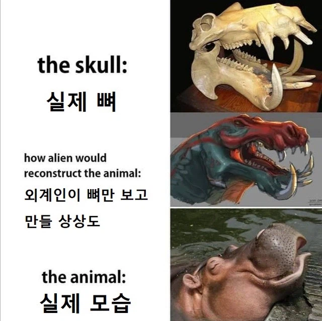 공룡덕후들이 커뮤니티 공룡 얘기에 종종 빡도는 이유_11.webp