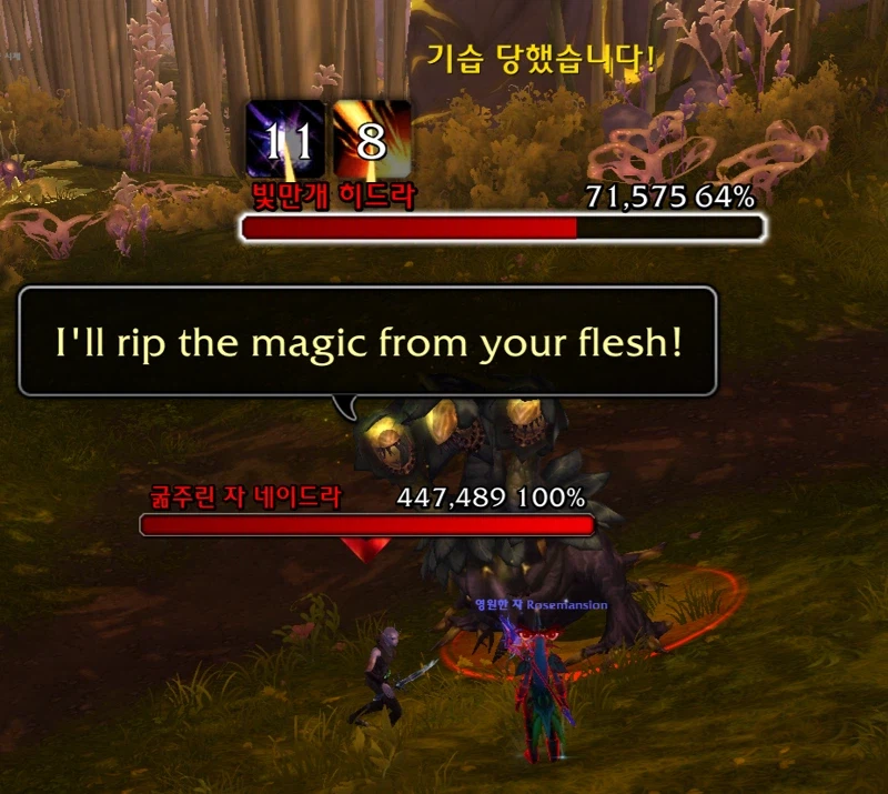 월드 오브 워크래프트: 한밤 가이드_29.webp