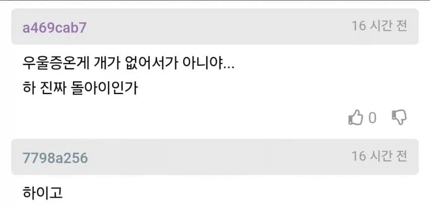 ??? : 개 한마리 때문에 결혼 냉전중이다 내가 잘못인게 있냐?_4.webp