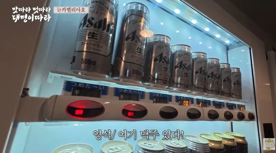 배우 김대명이 알려주는 "부산에서 배타고 후쿠오카까지 가는 장점"_9.webp