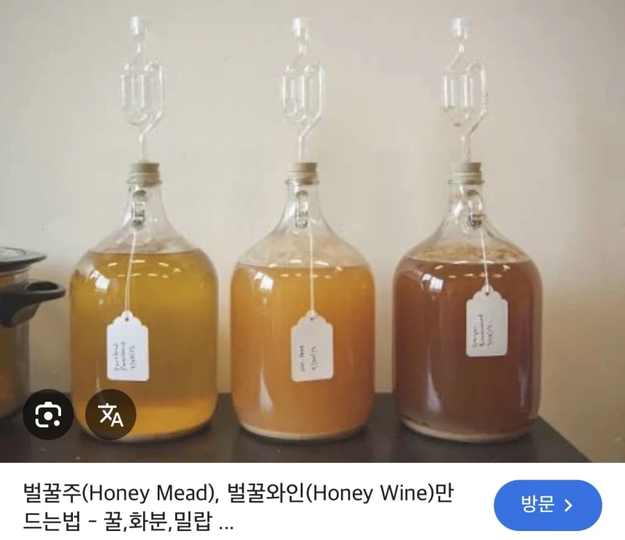 (술) 판타지나 이세계물에 자주 나오는 벌꿀주의 충격적인 사실_1.webp