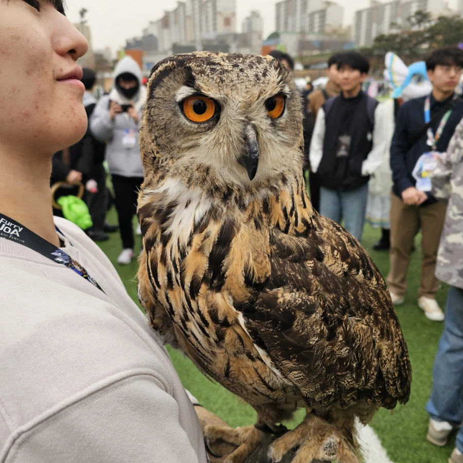 퍼리조아 때 찍은 것들_31.webp