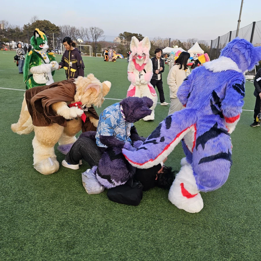 퍼리조아 때 찍은 것들_49.webp