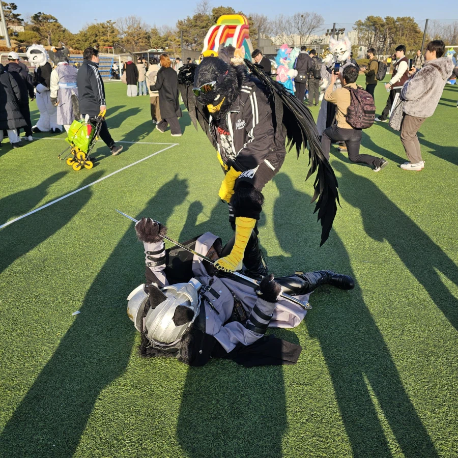 퍼리조아 때 찍은 것들_51.webp