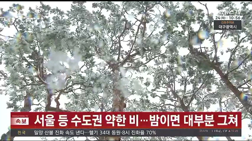 충청이랑 대설 주의보네 ㄷㄷㄷㄷ_4.webp