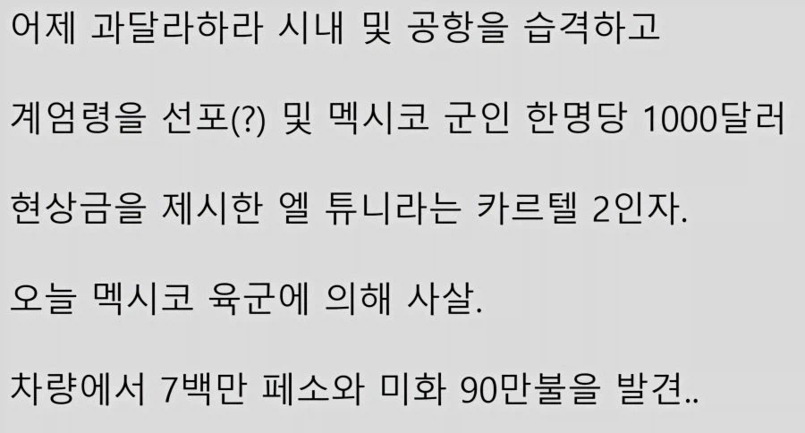 (혐) 멕시코 계엄령 때렸던 카르텔 2인자였던 것..._2.webp