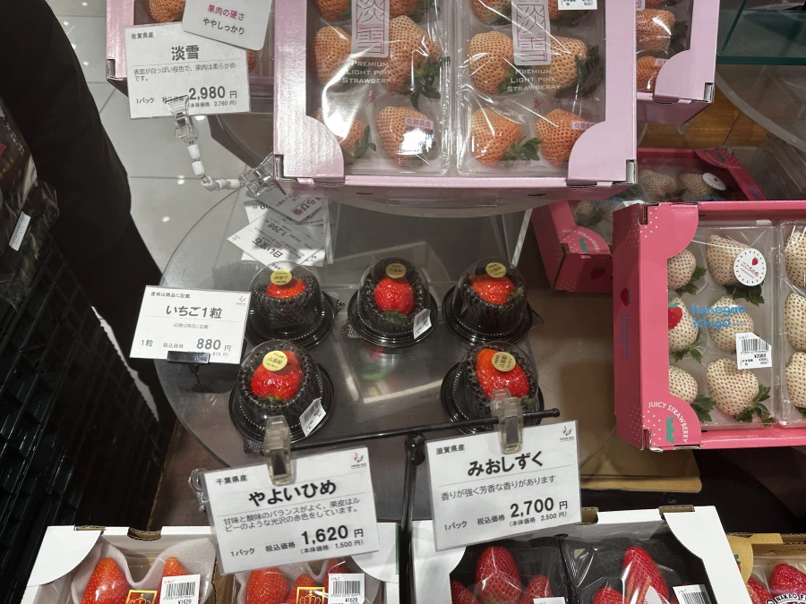 돼억시니) 도쿄여행가서 돼지처럼 먹고 온 돼억시니입니다_28.webp