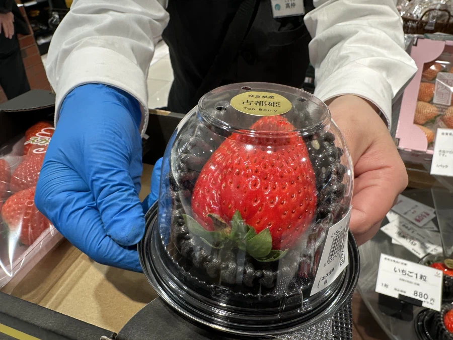 돼억시니) 도쿄여행가서 돼지처럼 먹고 온 돼억시니입니다_29.webp