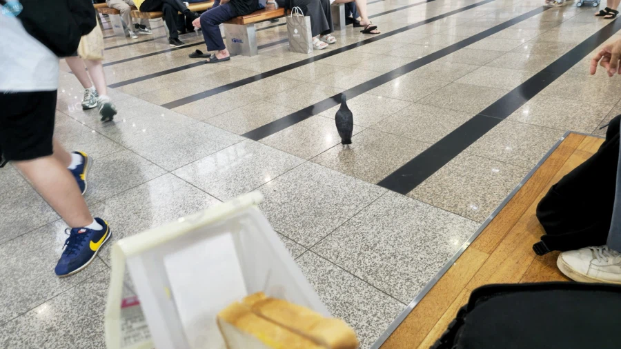 덕후들 지갑을 노리는 도파민 스테이션.. 서울 나홀로 여행 3일차_80.webp